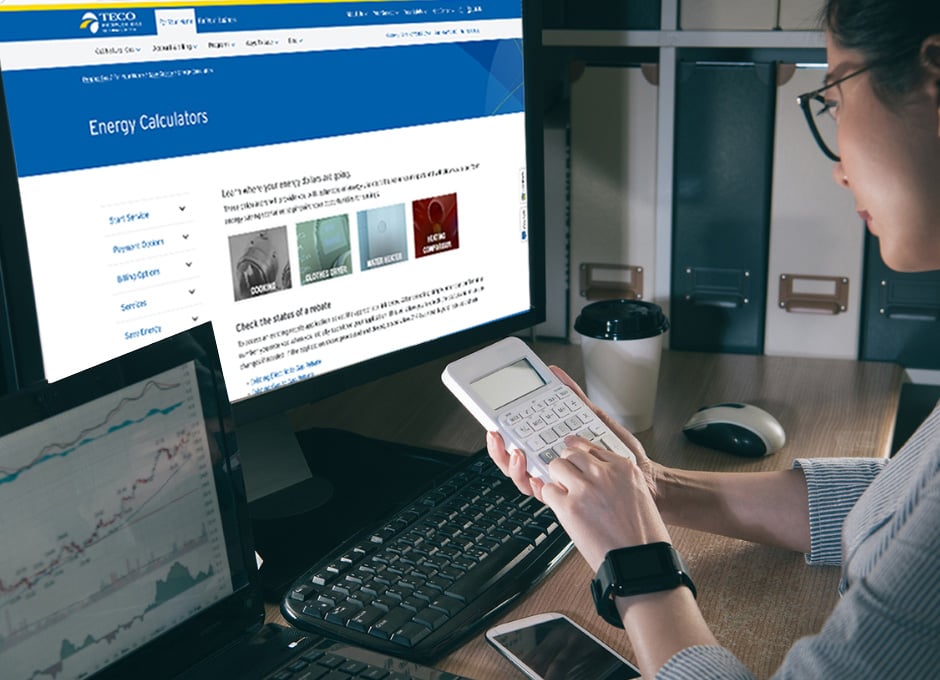 Navigating 2026 Together: Free Tools to Help You Manage Energy Costs