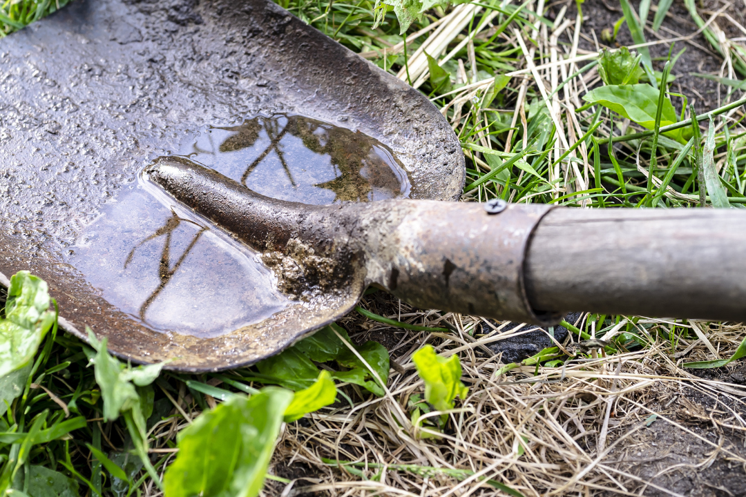 Getting Your Yard and Property Storm Safe